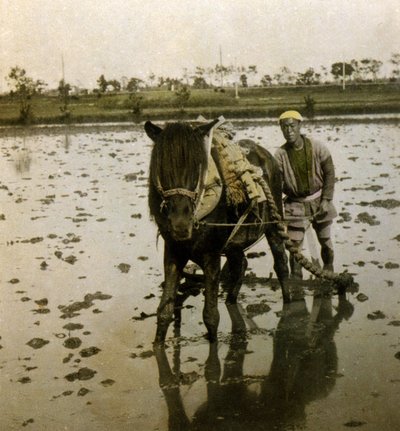 Ploughing a Paddy Field by Japanese Photographer